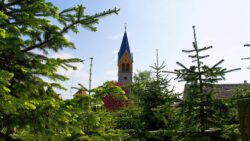 Calenberge_Kirche_Mai_2012-1