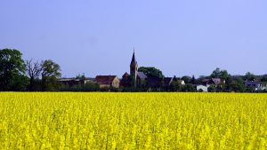 Calenberge_Mai_2012-1