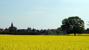 Calenberge_Mai_2012-2