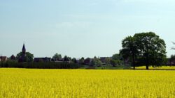 Calenberge_Mai_2012-2