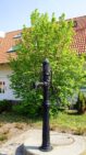 Randau_Mai_2012-4