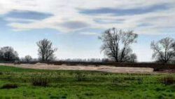 Deichbau Prinzenwiese