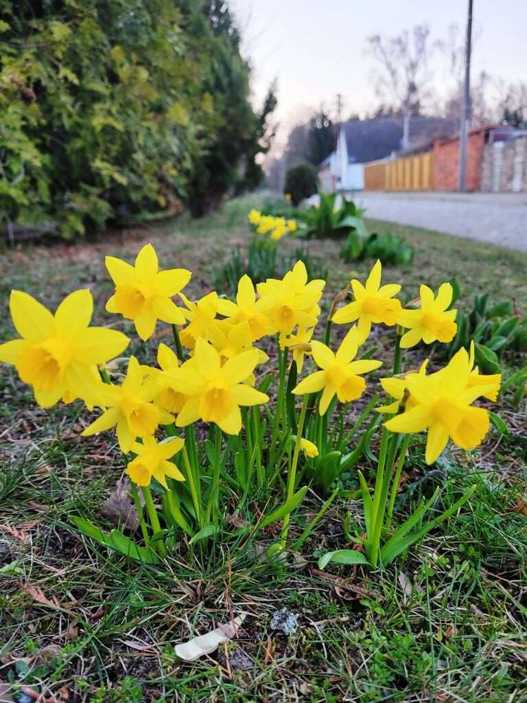 Buntes Osterfest in Randau-Calenberge