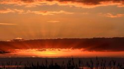 k-IMG_0925 n