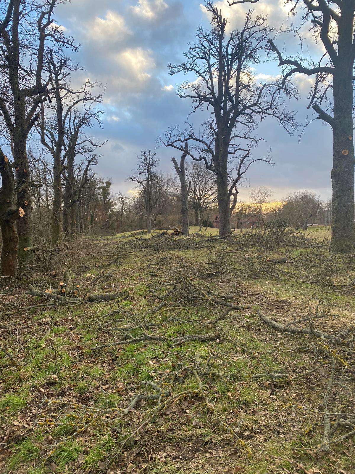 Pflege der Streuobstwiese (c) Uwe Truckenmüller
