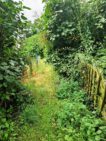 IMG-20240711-WA0007