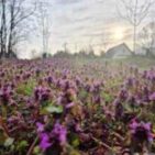 WhatsApp Image 2025-04-09 at 19.17.32