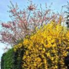 WhatsApp Image 2025-04-09 at 19.17.32(3)