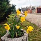 WhatsApp Image 2025-04-09 at 19.17.33 2