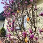 WhatsApp Image 2025-04-09 at 19.17.33