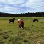 WhatsApp Image 2025-04-10 at 20.20.17(1)