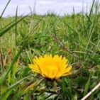 WhatsApp Image 2025-04-10 at 20.20.17(2)