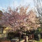 WhatsApp Image 2025-04-11 at 13.03.08(2)