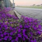 WhatsApp Image 2025-04-11 at 13.12.05