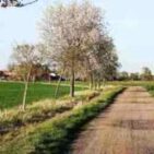 WhatsApp Image 2025-04-12 at 19.35.35 (1)