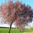 WhatsApp Image 2025-04-12 at 19.35.35