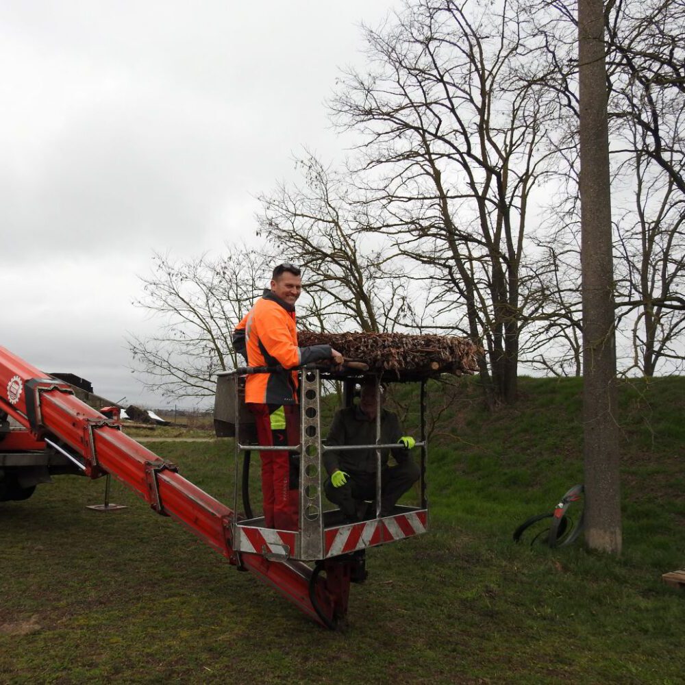 ... auf dem Steigerkorb gewuchtet wird.