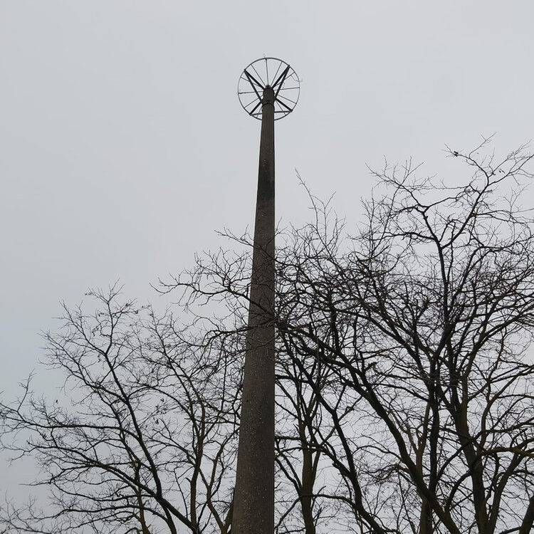 Der Mast samt Horstplattform