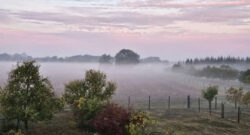Nebellandschaft2