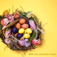 Neues Bild (4)