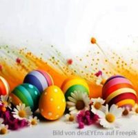 Neues Bild (8)