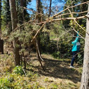 Am besten wurde die Station "Bau eines Unterschlupfes im Wald" angenommen