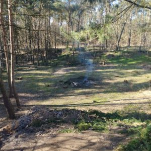 Der rückwärtige Wald wurde vom Unterholz befreit - Bahn frei für den Bogensport ...